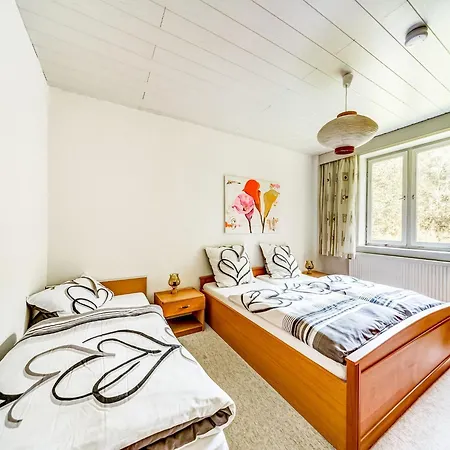 Rustic Black Forest Getaway, Cleaning Included