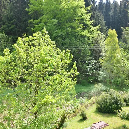 Apartmán Rustic Black Forest Getaway, Cleaning Included Masserberg
