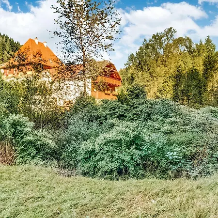 Rustic Black Forest Getaway, Cleaning Included